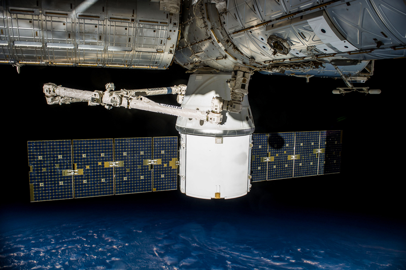 Illustration for article titled The SpaceX Dragon Splashes Down With Moustronauts And Arugula